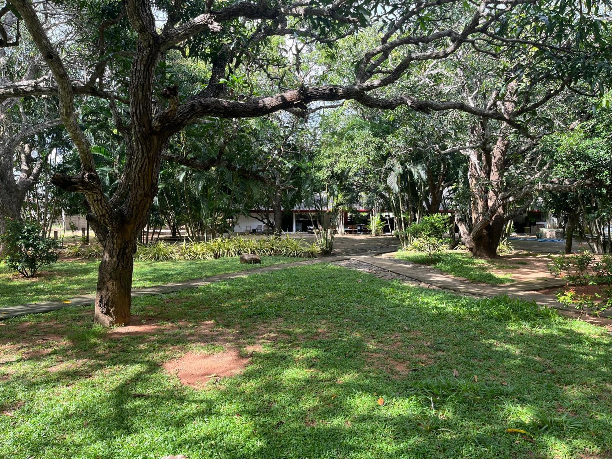Royal Green Garden - Puttalam Exterior photo